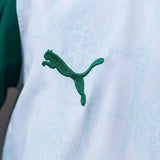 Palmeiras Windbreaker 2025/26 White Football Kit - PalmSportss