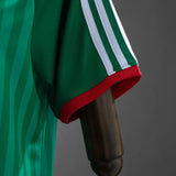 Algeria Away Jersey 2026 World Cup Football Kit Soccer Jersey PalmSportss