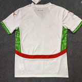 Morocco Jersey 25/26 Away Football Kit Soccer Shirt