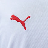 Portugal Jersey 2026 World Cup White Special Football Kit PalmSportss