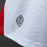 Jordan Home Jersey 2026 World Cup Football Kit Soccer Shirt PalmSportss