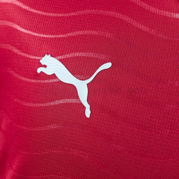 Portugal Jersey 2026 World Cup Home Football Kit