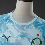 Palmeiras Pre-match Jersey 2026-2027 Football Kit Soccer Shirt PalmSportss