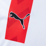 PSV Eindhoven Jersey 25/26 Home Football Kit