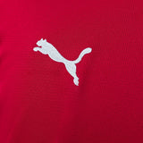 Czech Republic Home Jersey 2026 Football Kit Soccer Shirt