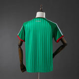Algeria Away Jersey 2026 World Cup Football Kit Soccer Jersey PalmSportss