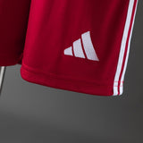 Kids Liverpool Jersey 25/26 Home Football Kit PalmSportss