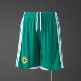Northern Ireland Home Shorts 2026 Football Kit Soccer Shorts