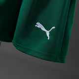 Kids Palmeiras Away Jersey 2026/27 Football Kit Soccer Shirt