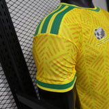 Player Version South Africa Home Jersey 2026 World Cup Football Kit Soccer Shirt PalmSportss