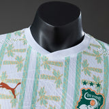 Player Version Ivory Coast Away Jersey 2026 World Cup Football Kit Soccer Shirt PalmSportss