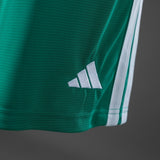 Northern Ireland Home Shorts 2026 Football Kit Soccer Shorts