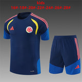 Kids Colombia Training Tracksuits 2026 Football Kit Soccer Jersey