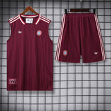 Bayern Munich Vest Set Training Tracksuits 25/26 Football Kit Soccer Jersey