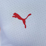 Player Version Galatasaray Away Jersey 2026-2027 Football Kit Soccer Shirt PalmSportss