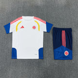 Colombia Training Tracksuits 2026 Football Kit Soccer Jersey