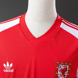 Wales Jersey 1982 Home Retro Football Kit