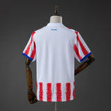 Paraguay Away Jersey 2026 World Cup Football Kit Soccer Jersey PalmSportss