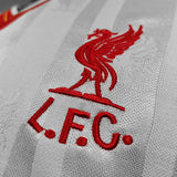 Liverpool Retro Jersey 1985/86 Away Football Jersey Soccer Shirt - PalmSportss