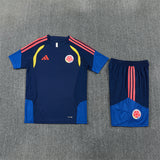 Colombia Training Tracksuits 2026 Football Kit Soccer Jersey