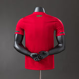 Portugal Jersey 2010 Home Retro Football Kit Player Version