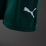 Kids Portugal Jersey 25/26 Home Football Kit