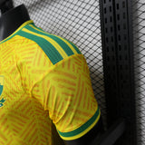 Player Version South Africa Home Jersey 2026 World Cup Football Kit Soccer Shirt PalmSportss