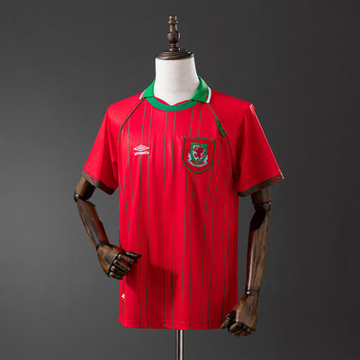 Wales Jersey 1994 Home Retro Football Kit