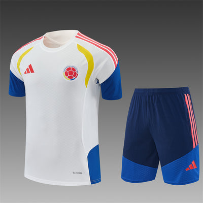 Colombia Training Tracksuits 2026 Football Kit Soccer Jersey