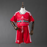 Kids Wales Jersey 2026 World Cup Home Football Kit