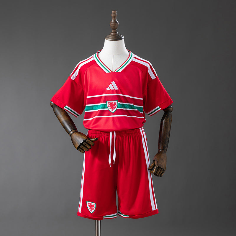 Kids Wales Jersey 2026 World Cup Home Football Kit