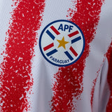 Paraguay Away Jersey 2026 World Cup Football Kit Soccer Jersey PalmSportss