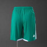 Northern Ireland Home Shorts 2026 Football Kit Soccer Shorts