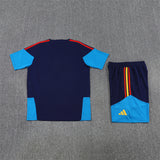 Spain Training Tracksuits 2026 Football Kit Soccer Shirt