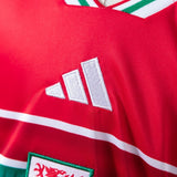 Kids Wales Jersey 2026 World Cup Home Football Kit