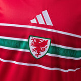 Wales Jersey 2026 World Cup Home Football Kit