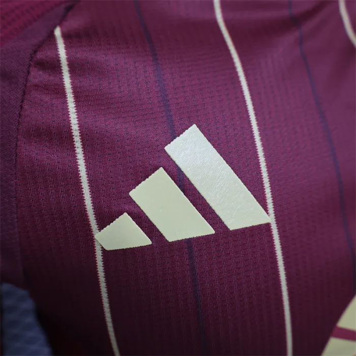 Versión de jugador Camiseta de fútbol AS Roma Home Kit 24/25