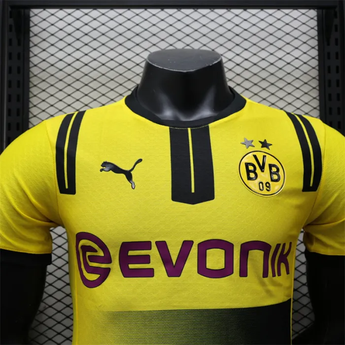 Player Version Dortmund Special Kit 24/25 Football Jersey
