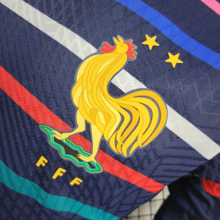 Camiseta de fútbol de la Eurocopa 2024/25 de Francia para el equipo de entrenamiento