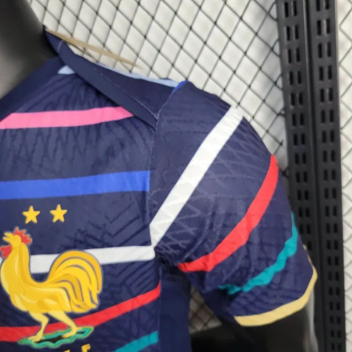 Camiseta de fútbol de la Eurocopa 2024/25 de Francia para el equipo de entrenamiento