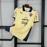 cerro porteno jersey 25/26 away football kit soccer jersey - PalmSportss