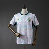 Senegal Jersey 2026 World Cup Home Football Kit - PalmSportss