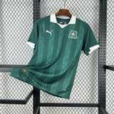 player version plymouth argyle jersey 25/26 home football kit soccer jersey - PalmSportss