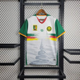 cameroon third jersey 2025 football kit soccer jersey - PalmSportss