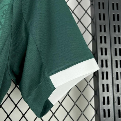 player version plymouth argyle jersey 25/26 home football kit soccer jersey
