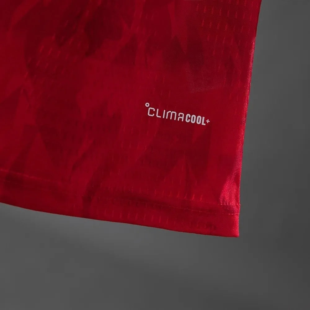 Belgium Jersey 2026 World Cup Football Kit Player Version