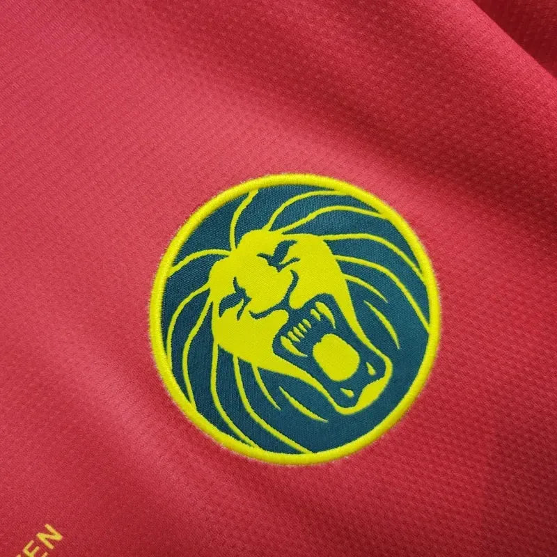cameroon away jersey 2025 football kit soccer jersey
