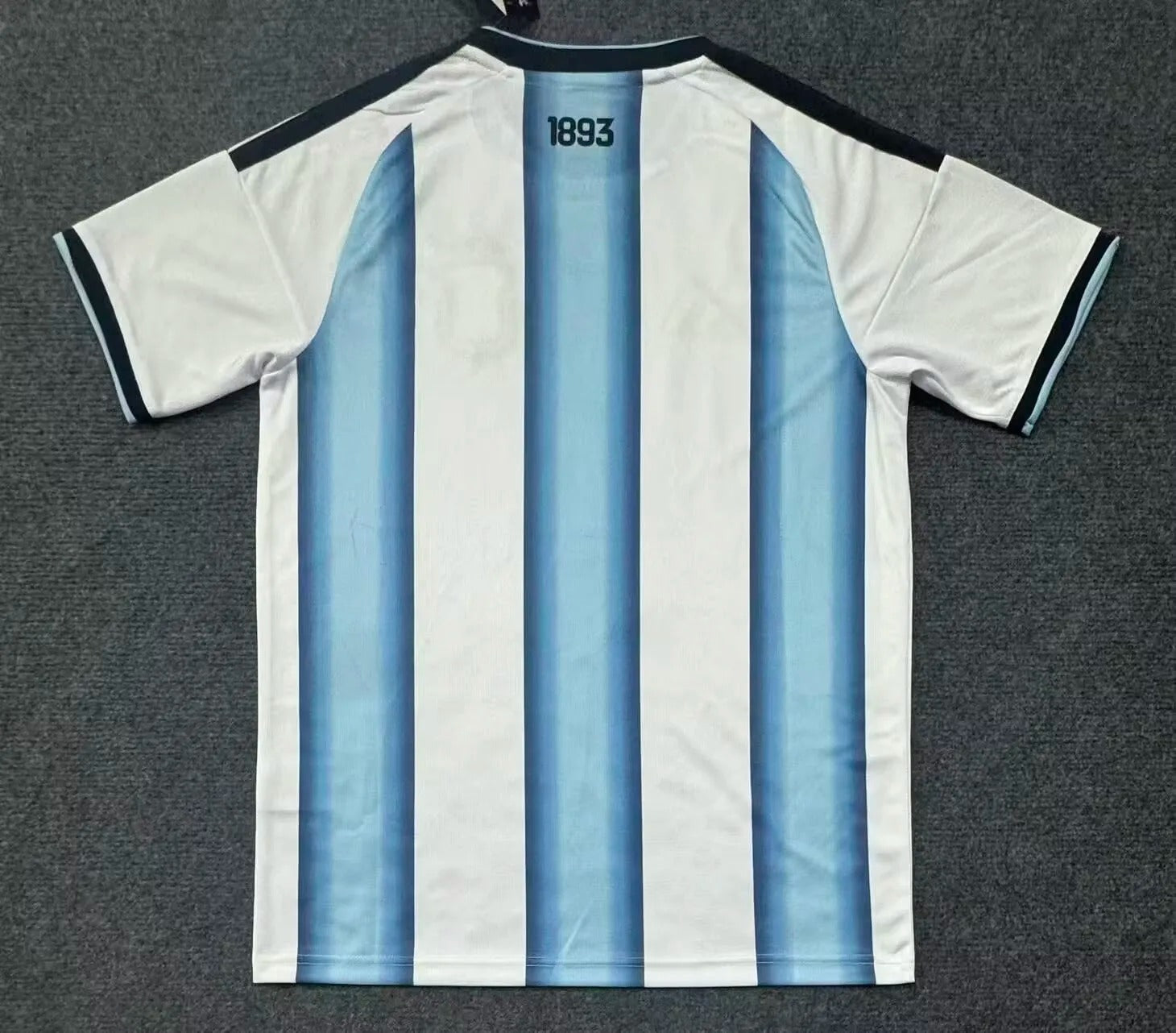 Argentina Jersey 2026 World Cup Home Football Kit Soccer Jersey