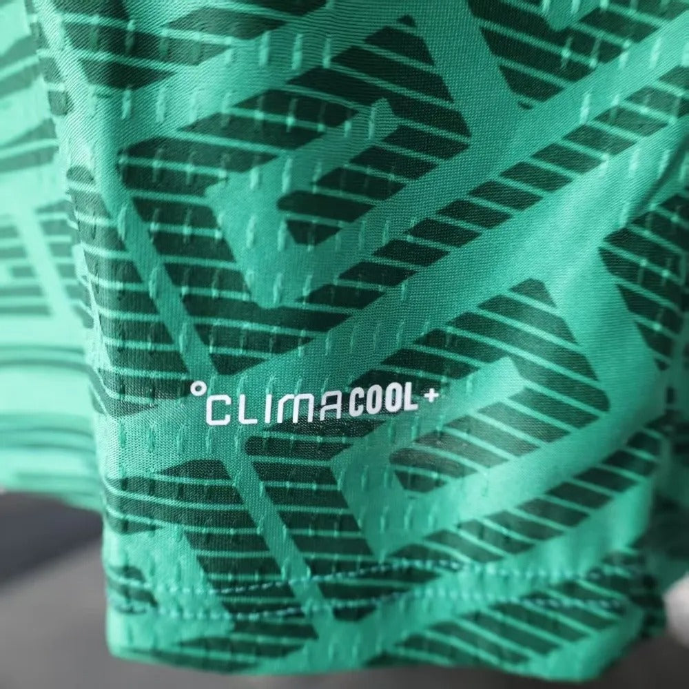 Mexico Jersey 2026 World Cup Football Kit Player Version Long Sleeves