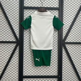kids palmeiras away jersey 25/26 football kit soccer jersey - PalmSportss